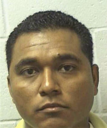 Hernandez-Alarcon Martin - Henry County, GA 