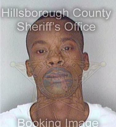 Dixon Michael - Hillsborough County, FL 