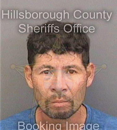 Silvestre Samuel - Hillsborough County, FL 