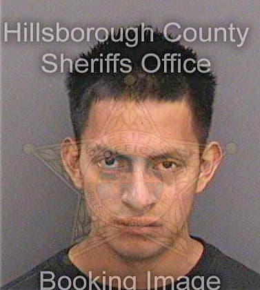 Bartolome Aparicio - Hillsborough County, FL 