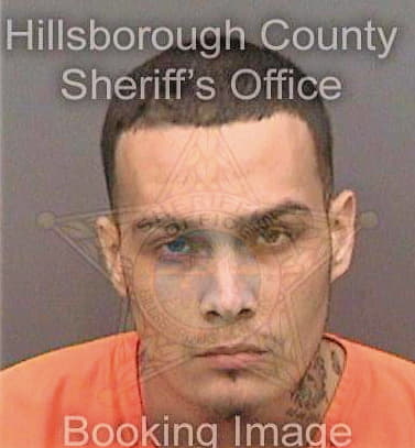 Ortiz Jose - Hillsborough County, FL 