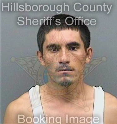 Jimenez Aguillon - Hillsborough County, FL 