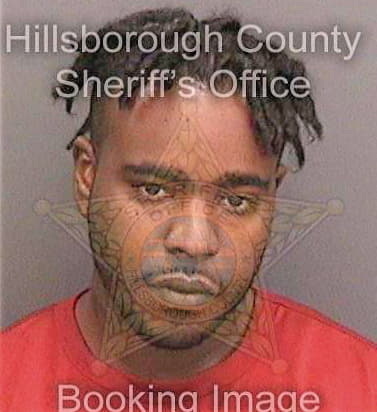 Sinsterra Louis - Hillsborough County, FL 