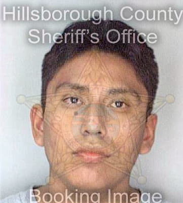 Bennett David - Hillsborough County, FL 