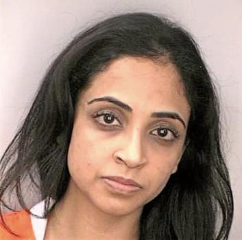 Patel Alpa - Hillsborough County, FL 