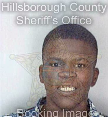 Black Lisa - Hillsborough County, FL 