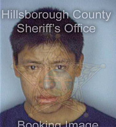 Ramirez Reyes - Hillsborough County, FL 