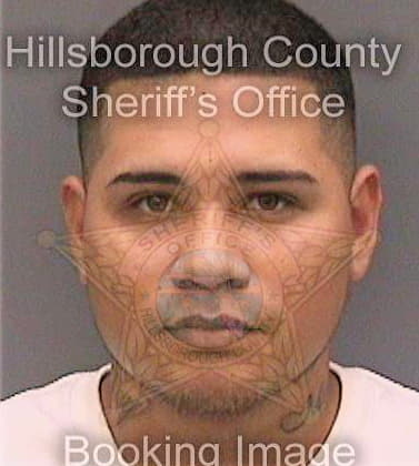 Ramoschavez Ricardo - Hillsborough County, FL 