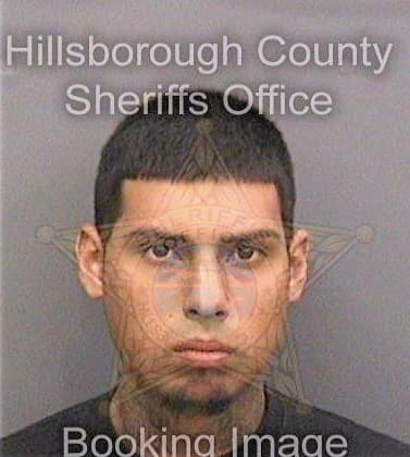 Serna Luis - Hillsborough County, FL 