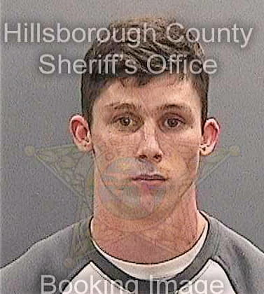 Davis Michael - Hillsborough County, FL 