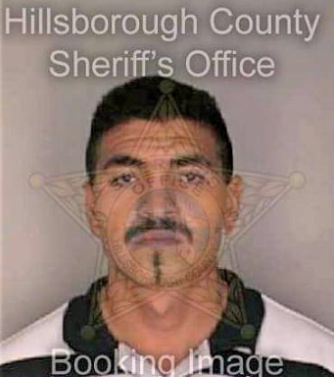 Villasenar Sergio - Hillsborough County, FL 