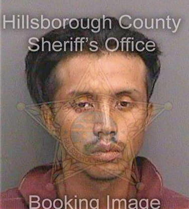 Espinoza Misael - Hillsborough County, FL 