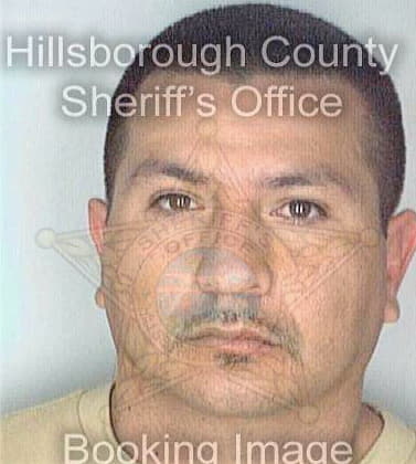 Martinez Ricardo - Hillsborough County, FL 