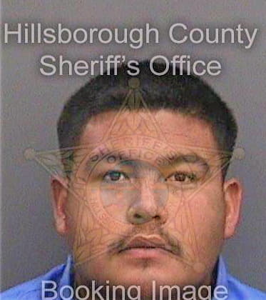 Sierra Domingo - Hillsborough County, FL 