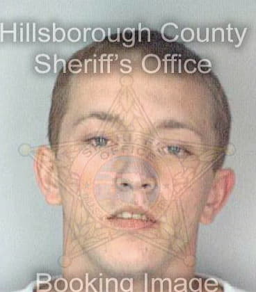 Mcmullen David - Hillsborough County, FL 