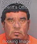 Martinez Jose - Pinellas County, FL 