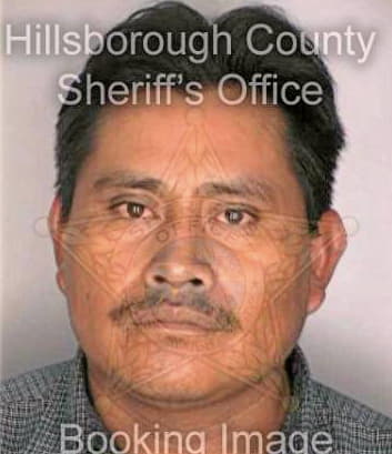 Diazhernandez Jorge - Hillsborough County, FL 