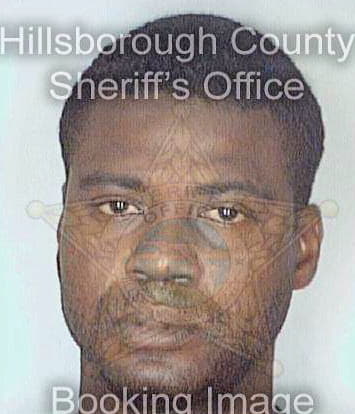 Lewis Melvin - Hillsborough County, FL 