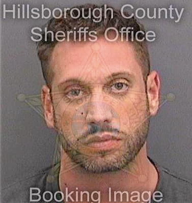 Theodoropoulos George - Hillsborough County, FL 