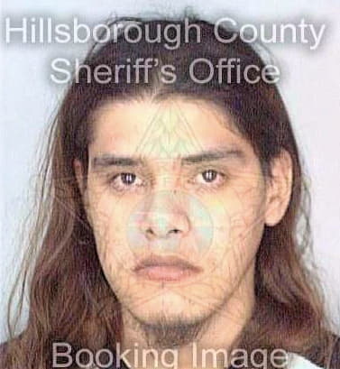 Gonzalez Rigoberto - Hillsborough County, FL 