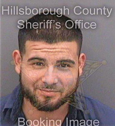 Cerda Juan - Hillsborough County, FL 