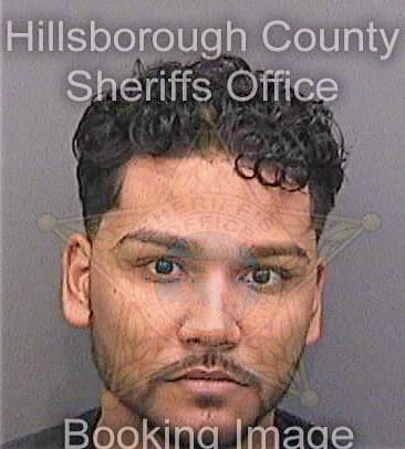 Ortiz Pablo - Hillsborough County, FL 