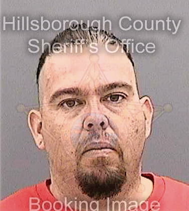 Mcnamara Steven - Hillsborough County, FL 