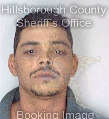 Vazquezortiz Ferdinand - Hillsborough County, FL 