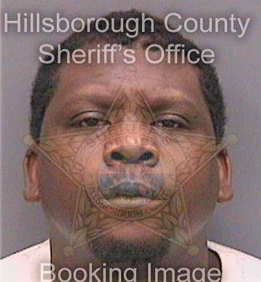 Mcgill Davin - Hillsborough County, FL 