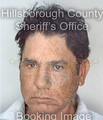 Gonzalez Gerardo - Hillsborough County, FL 