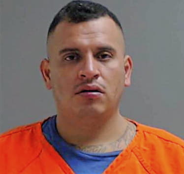 Hernandez David - Hidalgo County, TX 