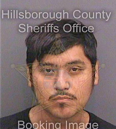 Dothejahuey Hector - Hillsborough County, FL 