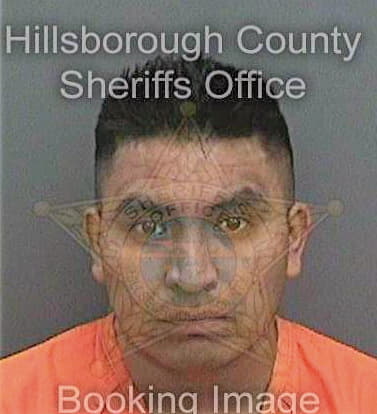 Gomezgomez Mario - Hillsborough County, FL 