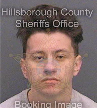 Patton Kyle - Hillsborough County, FL 