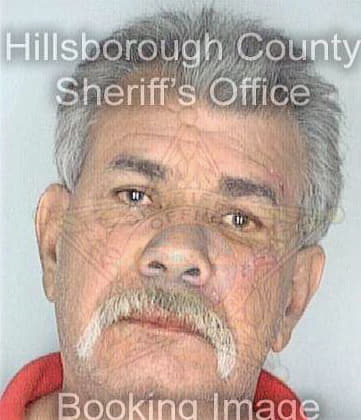 Caraballo Jose - Hillsborough County, FL 