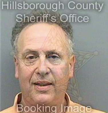 Wallace Michael - Hillsborough County, FL 