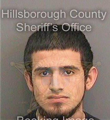 Perez Eduardo - Hillsborough County, FL 