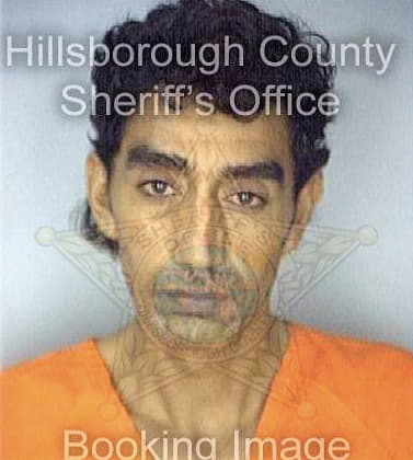 Deleonortiz Ediht - Hillsborough County, FL 