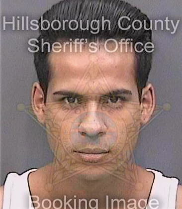 Martinez Austin - Hillsborough County, FL 