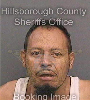 Menciarivera Olvan - Hillsborough County, FL 