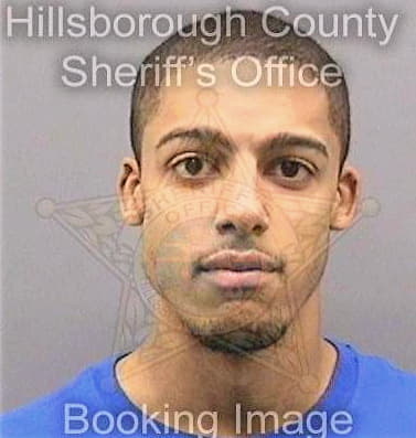 Riggs Terry - Hillsborough County, FL 