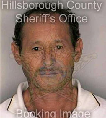 Medina Alejandro - Hillsborough County, FL 
