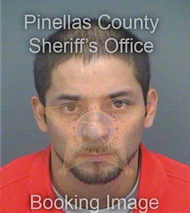 Cortes Luis - Pinellas County, FL 