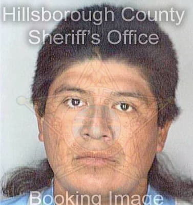 Hernandez Rogelio - Hillsborough County, FL 