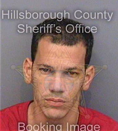 Betancourtpedroso Marion - Hillsborough County, FL 