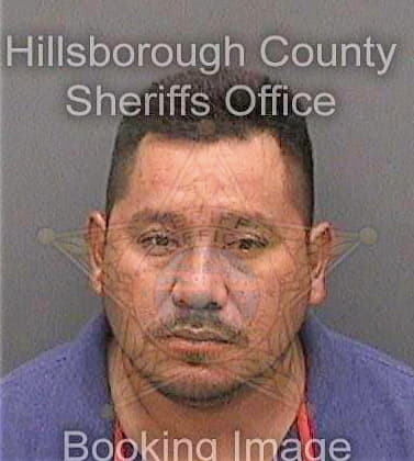 Reyesgalindez Adolfo - Hillsborough County, FL 