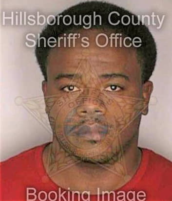 Simmons Robert - Hillsborough County, FL 