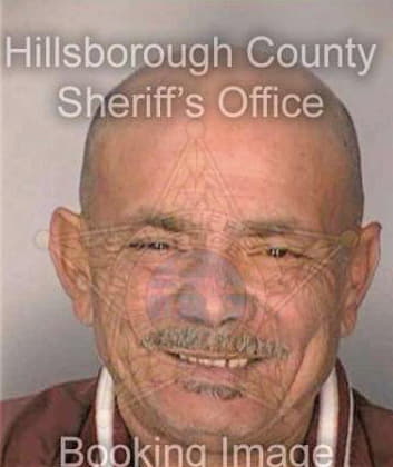 Vicente Nestor - Hillsborough County, FL 