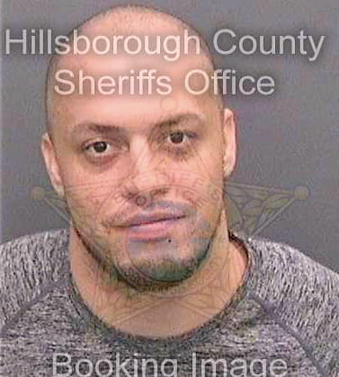 Garcia Adan - Hillsborough County, FL 