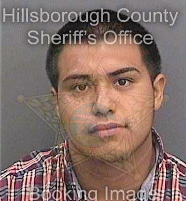 Galvan Carlos - Hillsborough County, FL 